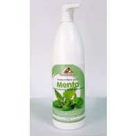 Insaporitore\Sciroppo aromatizzato gusto MENTA concentrato per granita Bottiglie da gr.1000 in cartoni da 6 bottiglie Modello 862