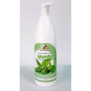 Insaporitore\Sciroppo aromatizzato gusto MENTA concentrato per granita Bottiglie da gr.1000 in cartoni da 6 bottiglie Modello 862