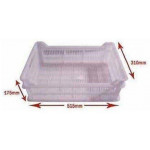 Armadio Frigo Refrigerato statico Eco Modello G-EF600CAS in lamiera verniciata e ABS N.1 porta Capacità N.13 Cassetti cm L51,5xP31x17,5h