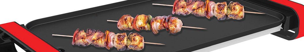 Piastre elettriche professionali per ristorazione in vendita online